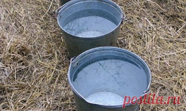 Народные приметы: 6 октября - Погода на Joinfo.ua
