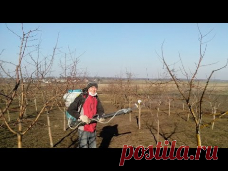 Весняне обприскування плодових дерев(карбамидом).