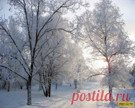 Русский сервис Пурга, ночь, Урал, горы. Едем. В машине два финна. Один большой, потому что не совсем финн, а латыш из СССР у него папа латыш, мама финка, результат - гражданин Финляндии, другой маленький, тоже не