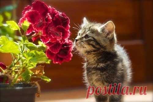 2 новых сообщения