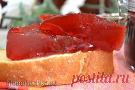 Джем-желе «калина красная» - ХЛЕБОПЕЧКА.РУ - рецепты, отзывы, инструкции, обзоры