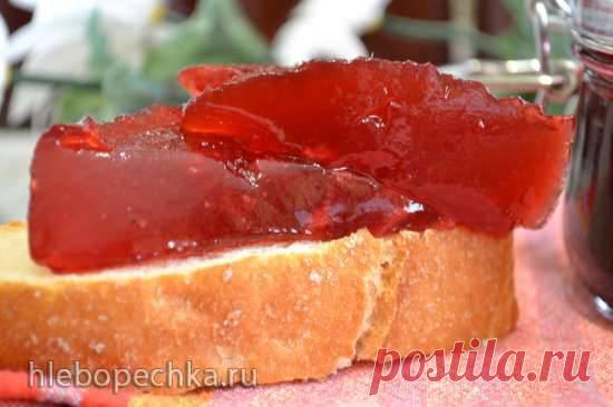Джем-желе «калина красная» - ХЛЕБОПЕЧКА.РУ - рецепты, отзывы, инструкции, обзоры