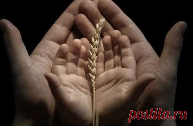Після прочитання цієї молитви у вашому житті почнуть відбуватися справжні чудеса – чудові події, які зараз вам навіть складно уявити Читайте щиро, з почуттям цю молитву. І ви обов’язково отримаєте дивовижні результати. Ця молитва універсальна. Підійде будь-якій людині і допоможе