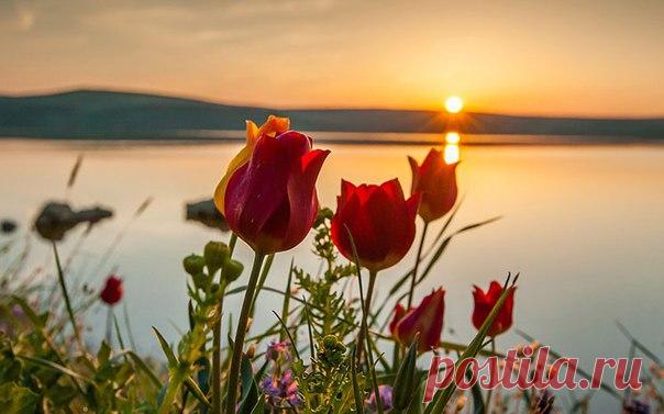 Всем доброго летнего денечка!
Новых встреч, идей, удачи, солнышка в душе!