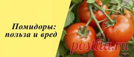 Помидоры: польза и вред, рецепты блюд и масок для лица Помидоры: история, польза и вред для организма, применение в народной медицине, косметологии и кулинарии, рецепты блюд и масок для лица.