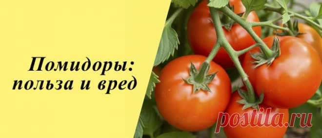 Помидоры: польза и вред, рецепты блюд и масок для лица Помидоры: история, польза и вред для организма, применение в народной медицине, косметологии и кулинарии, рецепты блюд и масок для лица.