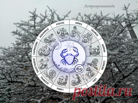 Гороскоп для Рака с 29 ноября 2021 по 2 января 2022 года | Астропропаганда | Яндекс Дзен
♋✨ Автор: астролог Нина Стрелкова. ✧ Основные хлопоты этого периода связаны с работой, завершением домашних дел, заботой о близких людях и домашних животных. У некоторых возможны незавершенные дела юридического характера, неясности касательно их прав и обязанностей. Решать эти вопросы лучше до 19 декабря, а если не успели, отложить до февраля. Нежелательно поднимать острые вопросы в солнечное затмение...