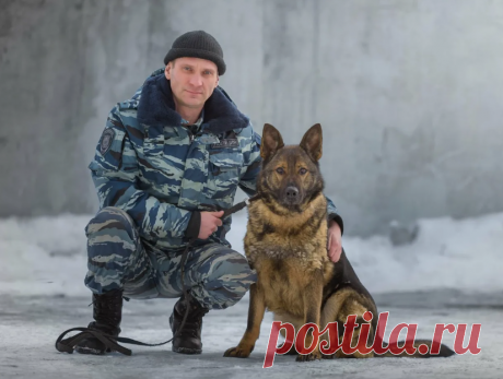 Собака караулила раненого бойца возле больницы, не желая больше терять напарника | Тайган | Дзен