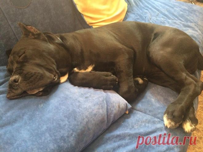 Умный дом. Полезные советы!