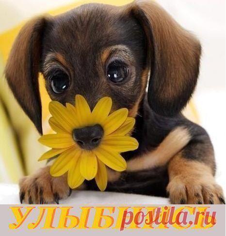 Интересные новости