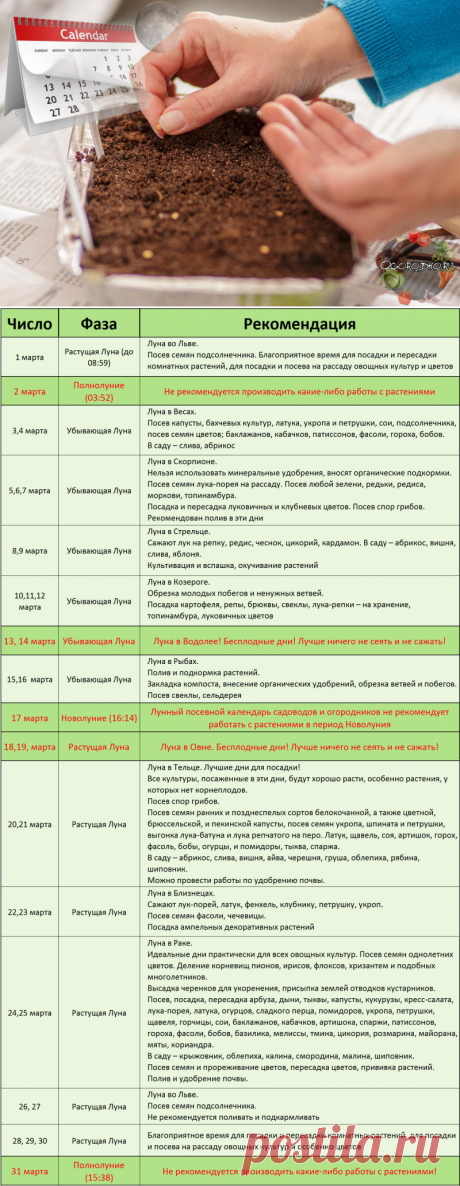 Лунный посевной календарь на март 2018 года садовода и огородника с таблицами