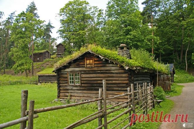 Норвежские травяные крыши - Путешествуем вместе
