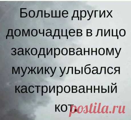 (10) Pinterest