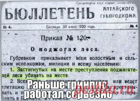 Подборка доброго и смешного фото "Нюансы жизни" | Музыка ветра | Яндекс Дзен