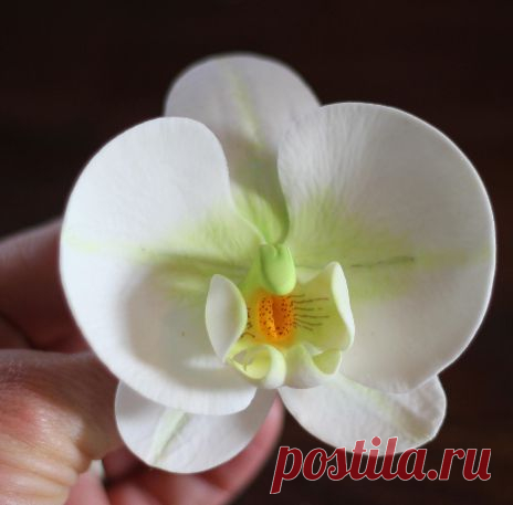 Украшаем торт орхидеями..