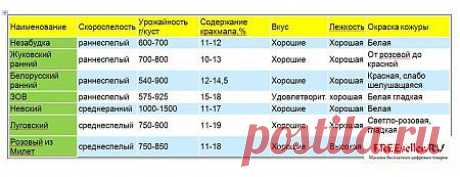 Технология выращивания картофеля