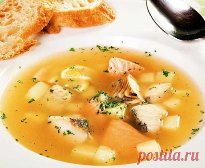 Уха из щуки. Уха из щуки - рецепты. Уха из щуки - рецепты