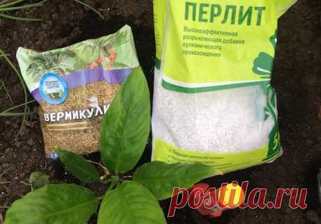 Без заголовка