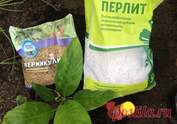 Без заголовка