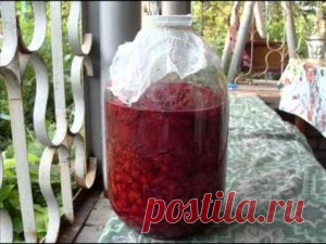 Малиновое вино в домашних условиях: простой рецепт приготовления