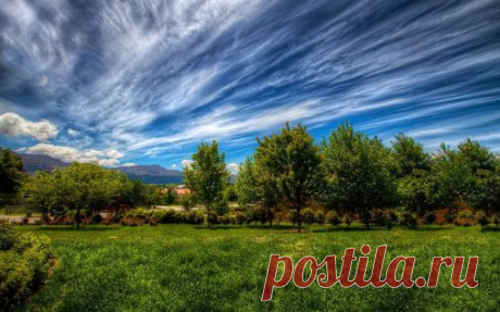 Google+