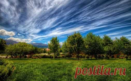 Google+