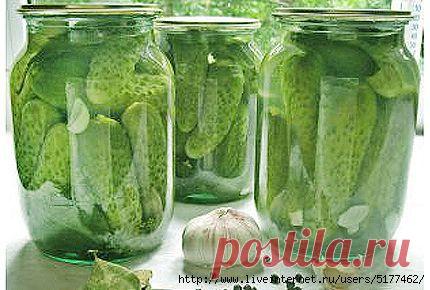 Огурцы "Злодейские".