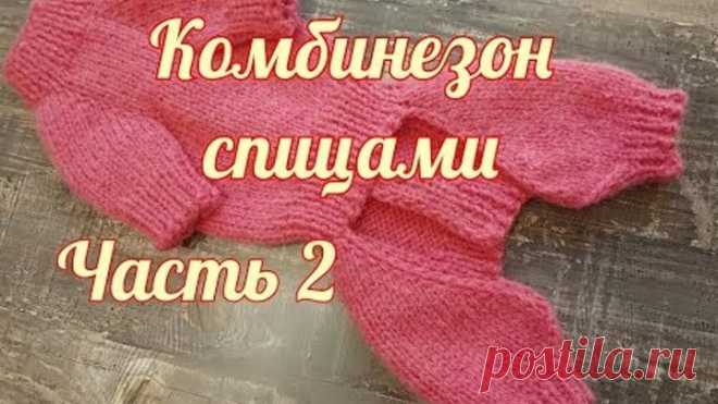 Комбинезон для собаки спицами, часть 2 suit for dogs & cats