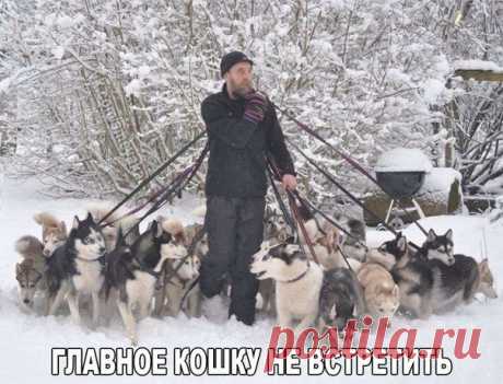 (+97) новых картинок!