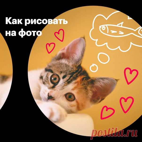 Если вы хотите написать или нарисовать что-то на фотографии на iPhone, а также добавить на нее фигуры или подпись, используйте функцию «Разметка» на iPhone и iPad. Для этого: 1. Откройте фотографию в программе «Фото», а затем нажмите «Править» в правом верхнем углу; 2. Нажмите на «...», а затем на «Разметка»; 3. Выберите подходящий инструмент и смело рисуйте! 🎨