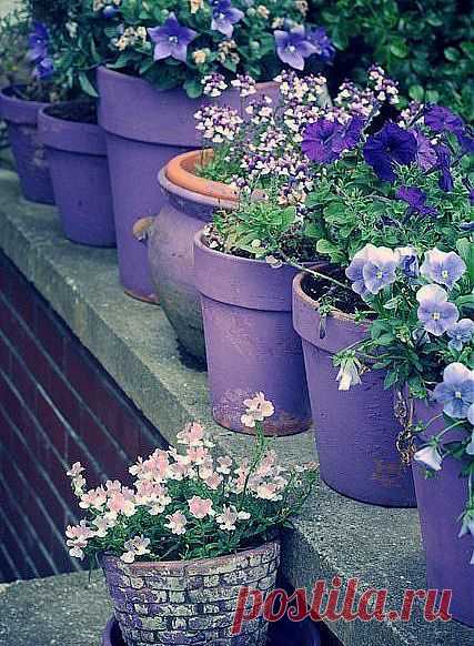 | Я люблю ✿ ЦВЕТЫ ✿ | I ♥ Flowers