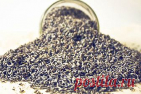 Crunchy Gift Ideas: Love ALL the Lavender! | Crunchy Betty A couple of weeks ago, early in the morning, my friendly postman rang the doorbell. And I trudged. And trudged. And trudged. Down the 10 stairs to my front door. (TRUDGED.) He handed me a pretty box and said, "Good day, morning-faced lady." And I mumbled, "Good day to you, fine sir! How are you this gorgeous morning. You're looking swell!" "Uh-huh." Inside this box was a booty full of surprise (just for me!) from t...