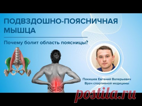 Подвздошно-поясничная мышца. Почему болит область поясницы?