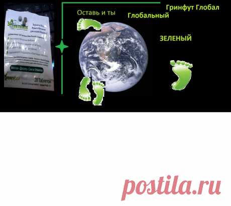 И ты оставь свой зеленый след!  https://oktan.st10.su/10