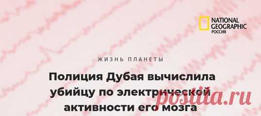 «Охотники за разумом» в действии 🕵‍♂ Полиция Дубая поймала убийцу благодаря электроэнцефалограмме его мозга. С помощью нее удалось заглянуть в сознание подозреваемого и отыскать доказательства преступления в его воспоминаниях.