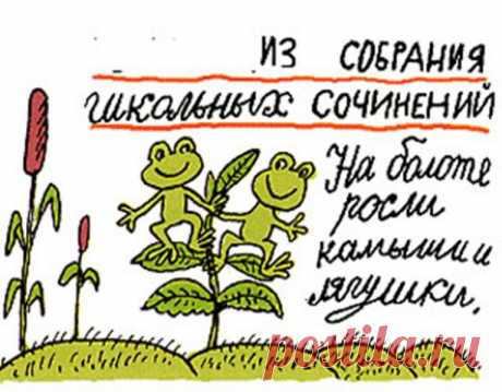 БЕЗ ПАМПЕРСОВ НЕ ЧИТАТЬ !!!ВЫДЕРЖКИ ИЗ СОЧИНЕНИЙ ШКОЛЬНИКОВ