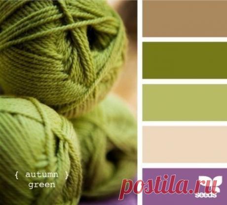 Сочетания цветов для вязания