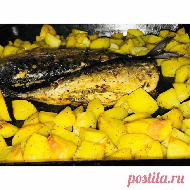 Скумбрия с картофелем - Простые рецепты Овкусе.ру