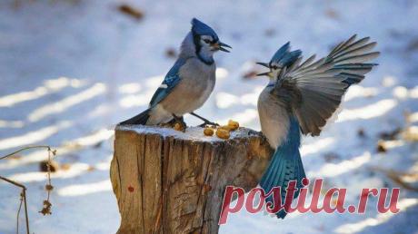 Интересные новости