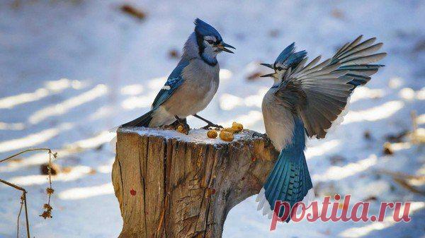 Интересные новости