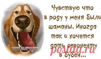 Картинки с юмором: прикольные надписи и фразы | В темпі життя