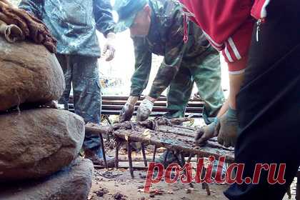 В новгородской деревне нашли 300-летнюю борону. В деревне Борихино Новгородской области местные жители случайно нашли 300-летнюю борону. Странную с точки зрения современного человека деревянную конструкцию жители Борихино обнаружили, когда занимались земельными работами в одном из местных домов. Ее отреставрировали и передали в музей.