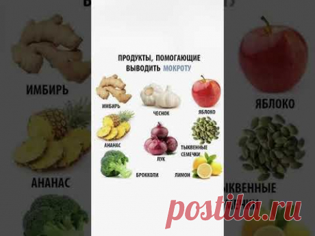 Продукты помогающие выводить мокроту. #зож #здоровье #лайфхаки