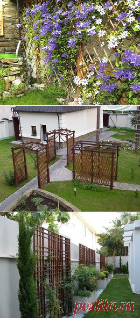 Шпалеры для растений: существующие виды, материалы, технология изготовления своими руками