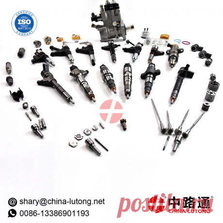 Diesel common rail fuel injector control valve set F00RJ01278
sharyhu
Diesel common rail fuel injector control valve set F00RJ01278
Diesel common rail fuel injector control valve set F00RJ01657
Diesel common rail fuel injector control valve set F00RJ02410
Diesel common rail fuel injector control valve set F00RJ02429
Diesel common rail fuel injector control valve set F00RJ02466
+86 13386901193 4SF
