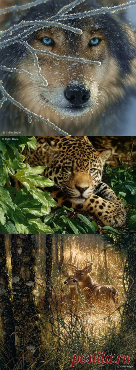 Фотореалистичные картины художника Коллина Богля