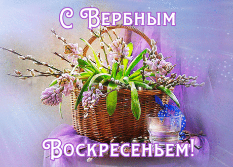 Здоровья, радости, тепла,
Пусть будет счастьем жизнь полна.
Любви, добра Вам и терпения,
С прекрасным Вербным воскресеньем!