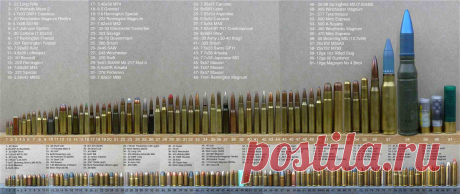 vintovka_NTW_20_6.jpg (2000×842)