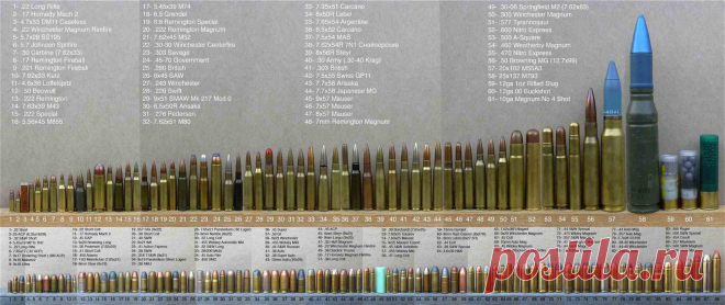 vintovka_NTW_20_6.jpg (2000×842)