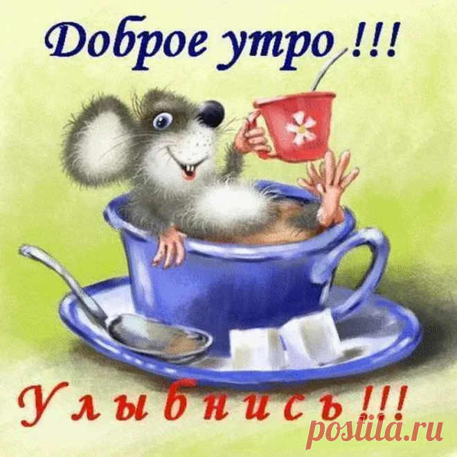 Прикольные открытки с добрым утром скачать бесплатно